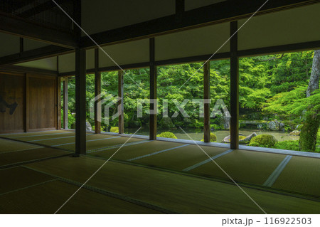 新緑の蓮華寺　額縁庭園（京都市左京区上高野） 116922503