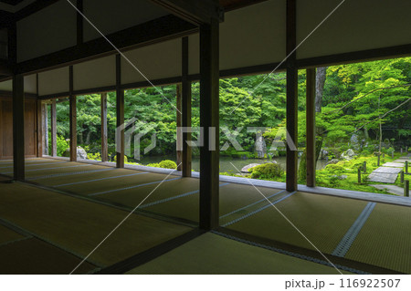 新緑の蓮華寺　額縁庭園（京都市左京区上高野） 116922507