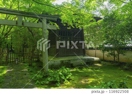 新緑の蓮華寺 鐘楼(京都市左京区上高野) 新緑の蓮華寺 鐘楼(京都市左京区上高野) 116922508