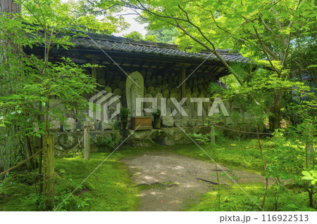 新緑の蓮華寺　石仏群（京都市左京区上高野） 116922513