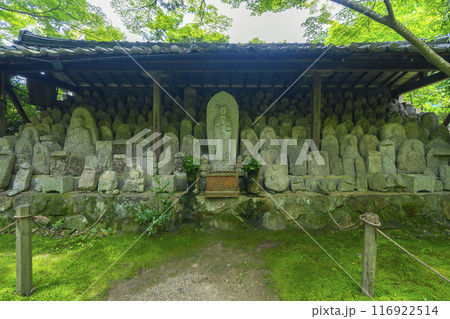 新緑の蓮華寺 石仏群(京都市左京区上高野) 新緑の蓮華寺 石仏群(京都市左京区上高野) 116922514