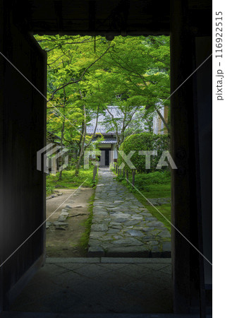 新緑の蓮華寺　山門から境内を望む（京都市左京区上高野） 116922515