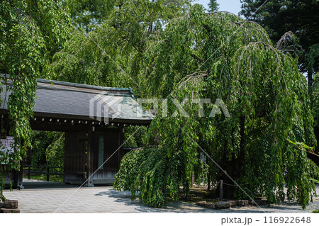 秋田県角館 樺細工伝承館入り口 秋田県角館 樺細工伝承館入り口 116922648
