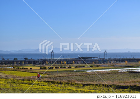 大津・JR湖西線比良駅の田園と琵琶湖の風景 大津・JR湖西線比良駅の田園と琵琶湖の風景 116923013