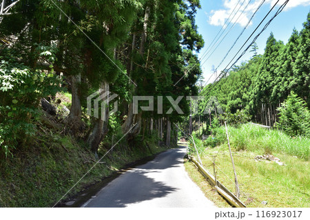 京都北山・鷹峯街道の風景 116923017