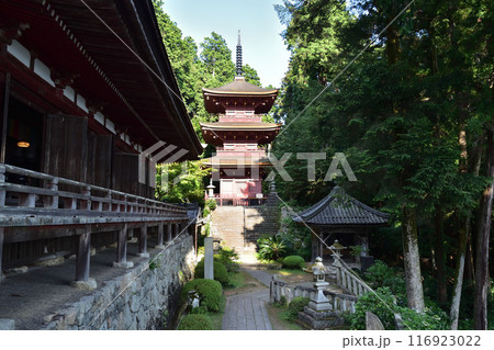 近江八幡・長命寺本堂と三重塔 116923022