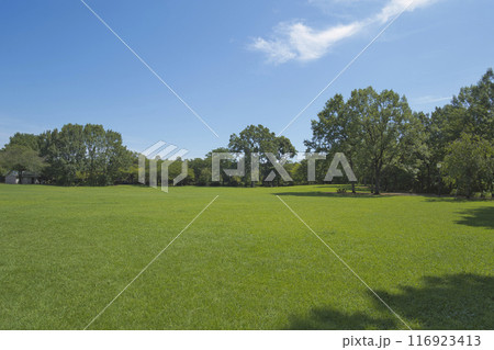 夏の公園 夏の公園 116923413