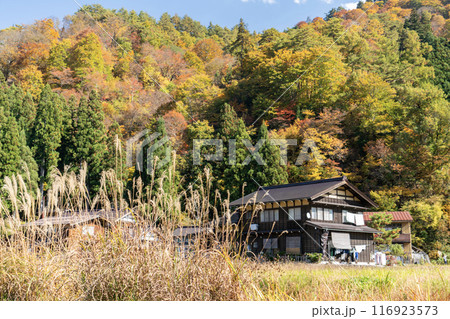 紅葉の中の合掌造りと茅葺 116923573