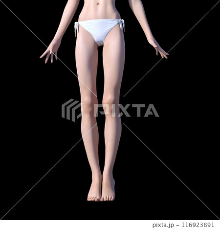 3DCG 若い女性の美しい脚 116923891