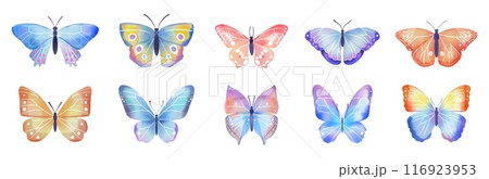 Watercolor butterfly. Spring, summer green romantic nature, tropical pink wing painting, exotic tropical beauty insects, colorful moths. Cute isolated decorative elements. Vector illustration Watercolor butterfly. Spring, summer green romantic nature, tropical pink wing painting, exotic tropical beauty insects, colorful moths. Cute isolated decorative elements. Vector illustration 116923953
