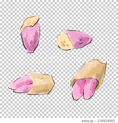 烤地瓜的柔和水彩風格插畫 116924005