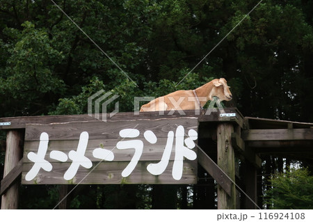 千本松牧場 116924108