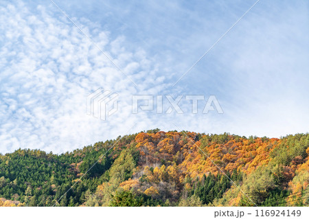 紅葉した山と青空 116924149