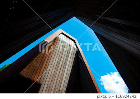 下から見上げた空 116924242