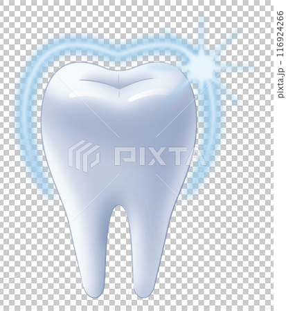 健康的牙齒 116924266