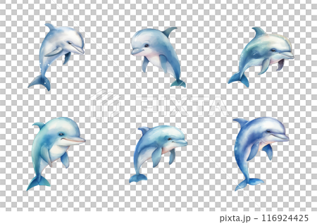 Dolphin Collection Bundle Set Isolated on a Transparent Background 116924425