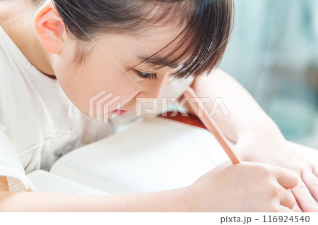 勉強をする小学生 116924540