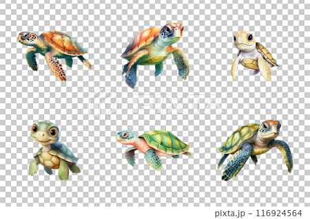Turtle Collection Bundle Set Isolated on a Transparent Background 116924564
