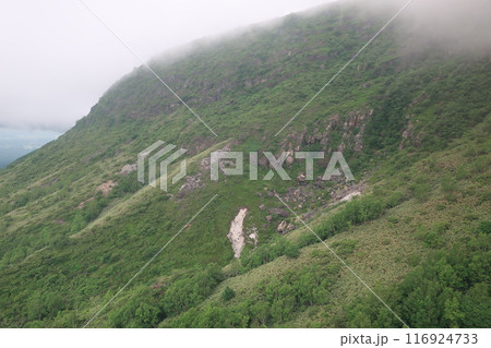 霧に覆われる山肌 霧に覆われる山肌 116924733