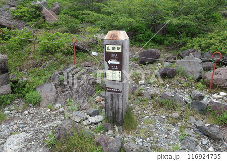 茶臼岳周回線歩道 茶臼岳周回線歩道 116924735
