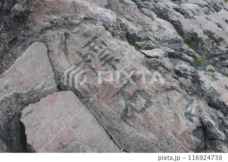 登山道にある石 登山道にある石 116924738