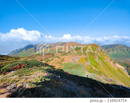 秋の鳥海山登山:外輪山・千蛇谷分岐付近からの眺望 秋の鳥海山登山:外輪山・千蛇谷分岐付近からの眺望 116924754