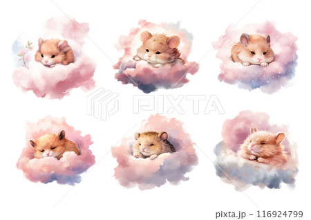 Sleepy Hamster Couple Collection Bundle Set Isolated on a Transparent Background 116924799