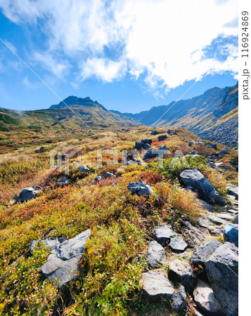 秋の鳥海山登山:千蛇谷 秋の鳥海山登山:千蛇谷 116924869