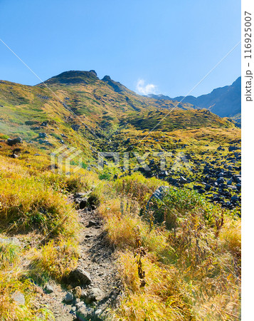 秋の鳥海山登山：千蛇谷 116925007