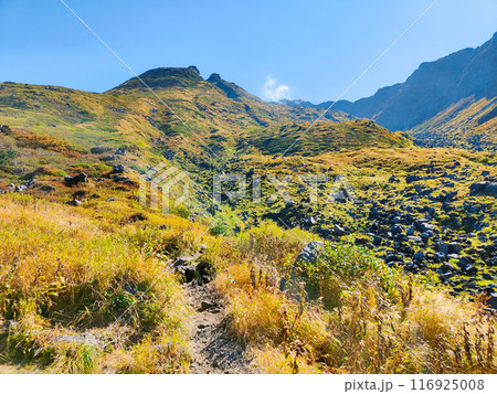 秋の鳥海山登山:千蛇谷 秋の鳥海山登山:千蛇谷 116925008