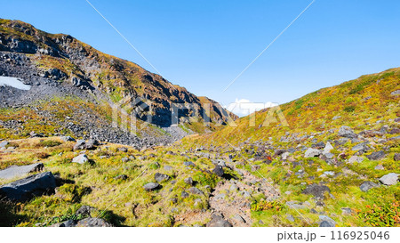 秋の鳥海山登山：千蛇谷 116925046