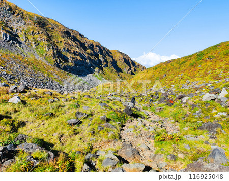 秋の鳥海山登山:千蛇谷 秋の鳥海山登山:千蛇谷 116925048