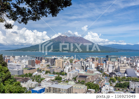城山展望所から望む桜島と鹿児島市街地 城山展望所から望む桜島と鹿児島市街地 116925049