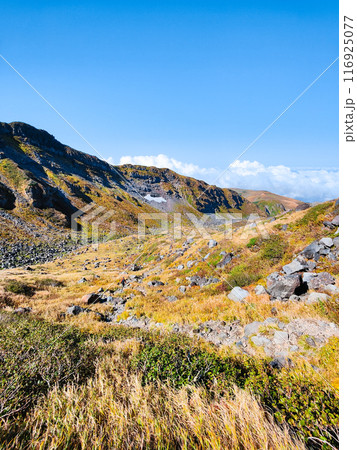 秋の鳥海山登山：千蛇谷 116925077