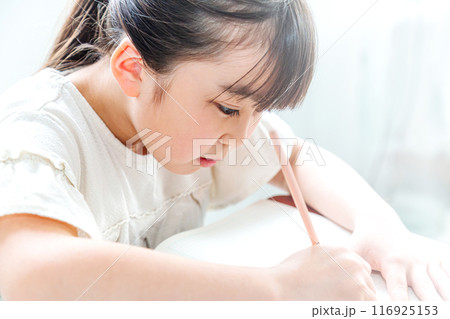 勉強をする小学生 116925153
