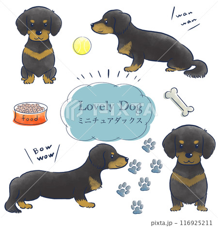 ミニチュアダックスの水彩の手描きイラストセットのイラスト素材