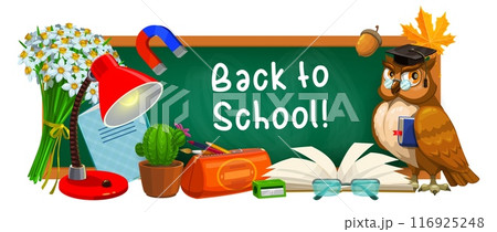 Back to school banner with blackboard and education supplies, vector background. Back to school chalk writing on chalkboard with owl in teacher cap, eyeglasses, stationery pens and paintbrush in pouch 116925248