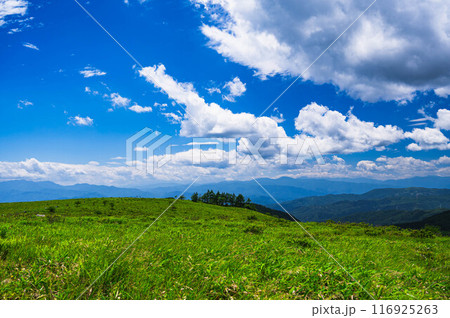 車山高原からの眺め 116925263