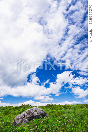夏の青空と高原 大きな石 夏の青空と高原 大きな石 116925270