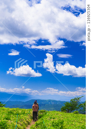 霧ヶ峰　草原トレッキング 116925304