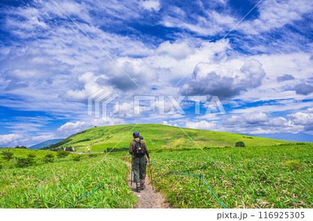 高原トレッキング　車山高原 116925305