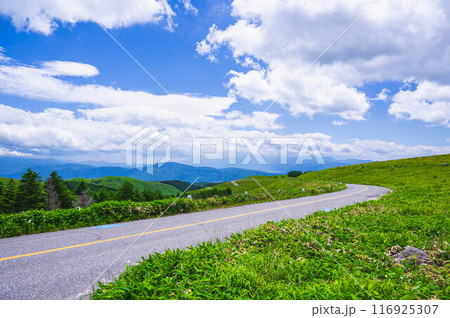 車山高原を走るビーナスライン 116925307