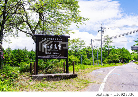 霧ヶ峰高原へ向かう途中の看板 霧ヶ峰高原へ向かう途中の看板 116925330