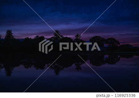 夕暮れ時の自然風景 夕暮れ時の自然風景 116925336
