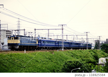 2006年　東海道本線を走るEF651123の牽く14系団体列車 116925384