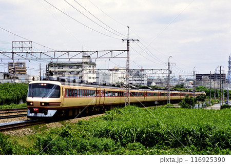 2006年　東海道本線を走る485系L特急雷鳥9両 116925390