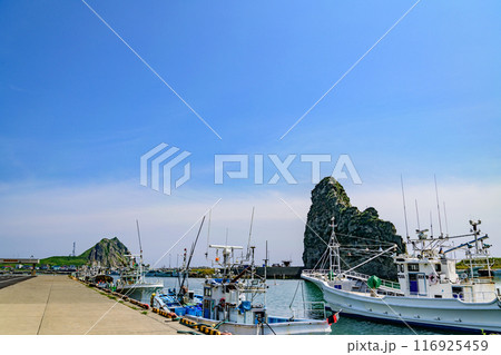 北海道日高の様似漁港とエンルム岬 北海道日高の様似漁港とエンルム岬 116925459