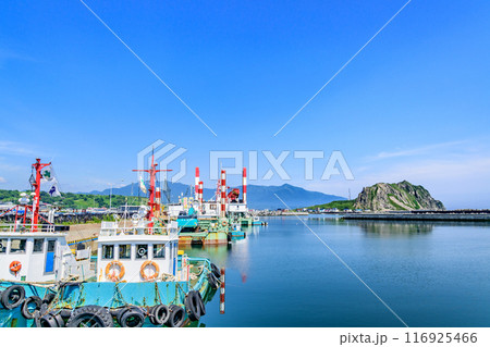 北海道日高の様似漁港とエンルム岬 北海道日高の様似漁港とエンルム岬 116925466
