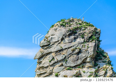 北海道日高の様似漁港とエンルム岬 116925476