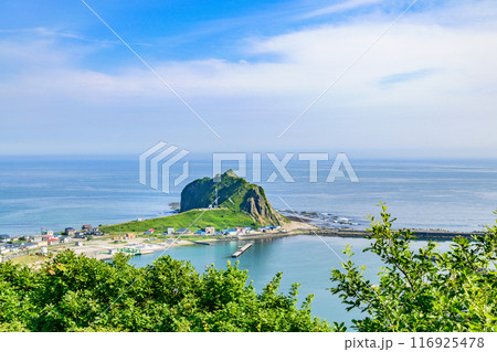 北海道日高の様似漁港とエンルム岬 北海道日高の様似漁港とエンルム岬 116925478